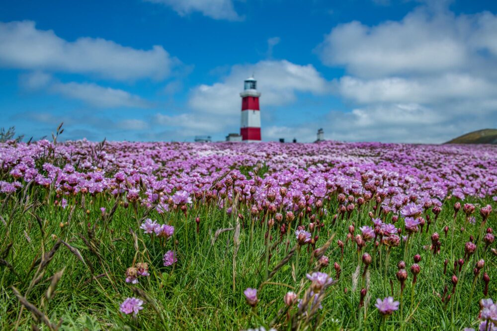 Bardsey, Pays de Galles