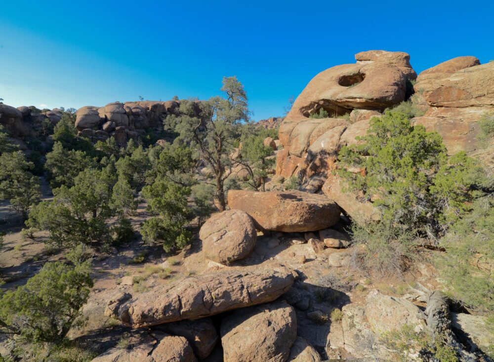 Big Rocks Wilderness dans le Nevada, États-Unis