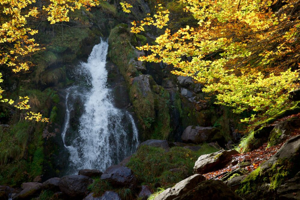 Chute d'eau dans la vallée d’Aspe, France