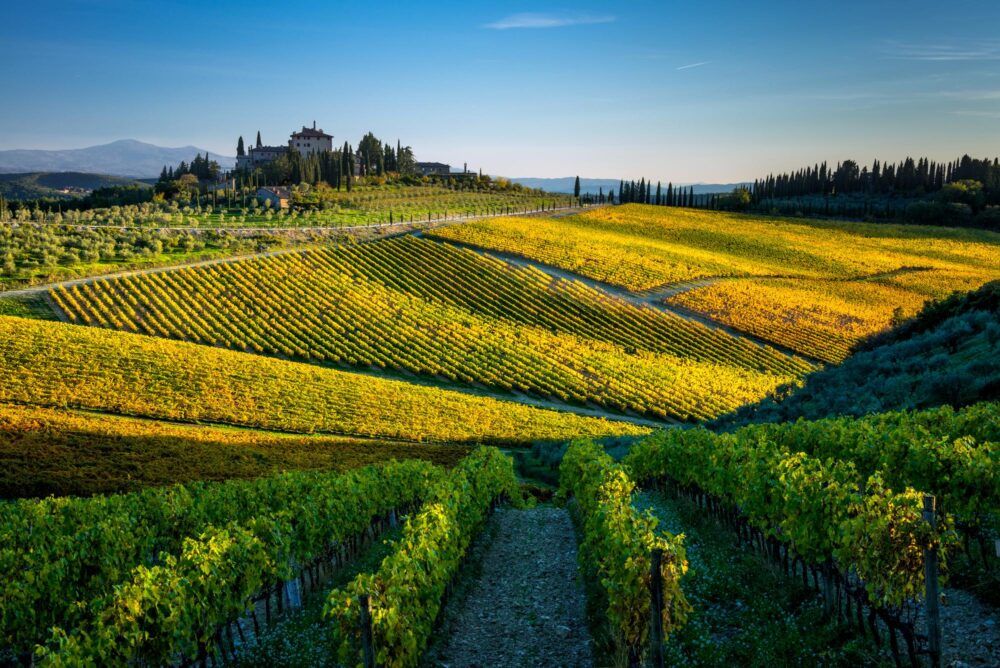 Colline et vignobles à Radda in Chianti en Toscane