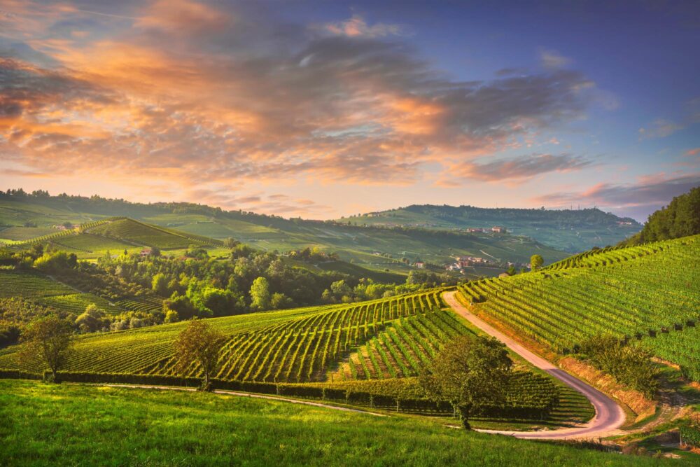 Coucher de soleil sur les vignobles de Langhe