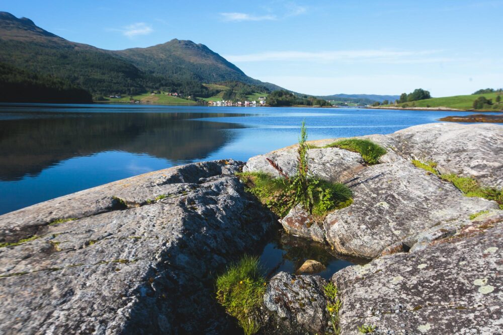 Explorer le Trondheimsfjord