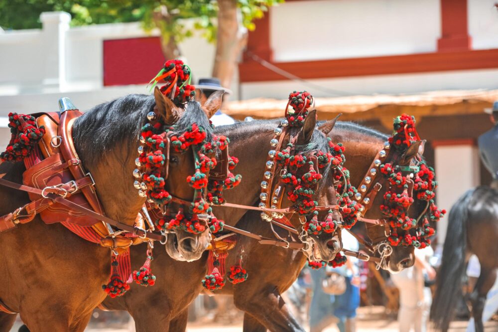 Feria du Cheval à Jerez de la Frontera
