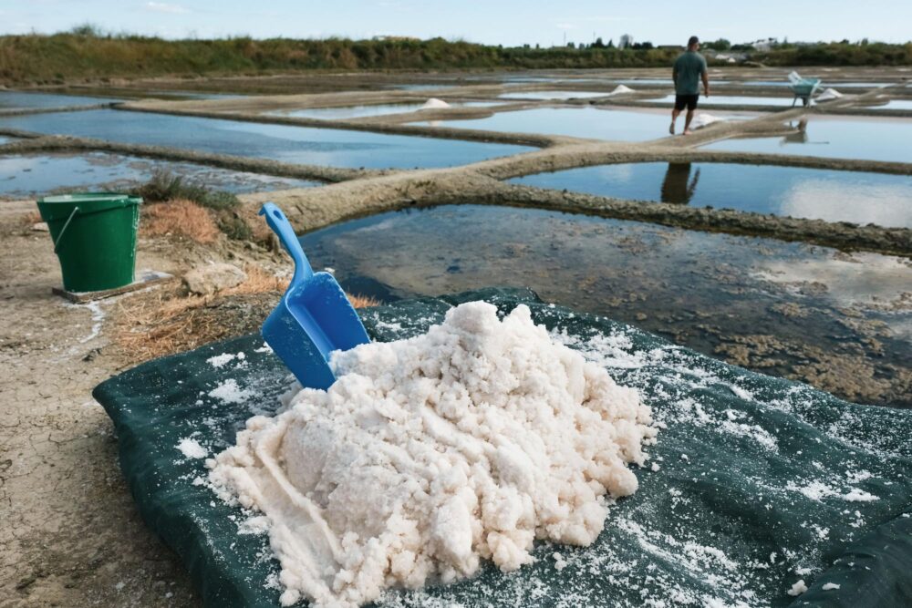 Fleur de sel Île de Ré