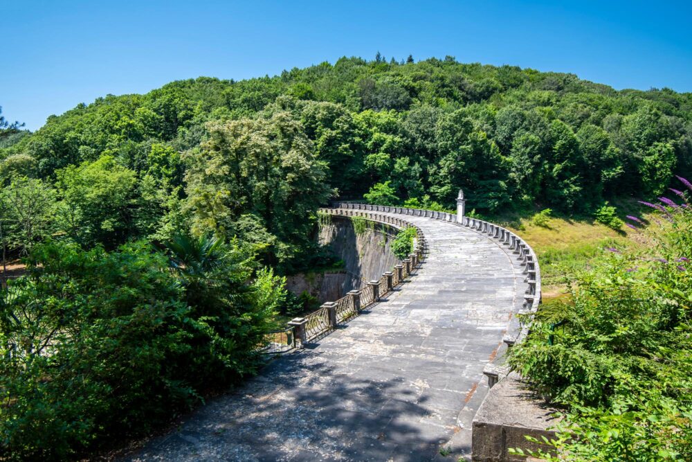 Forêt de Belgrad