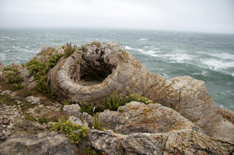 Fossil Forest, Dorset, Angleterre