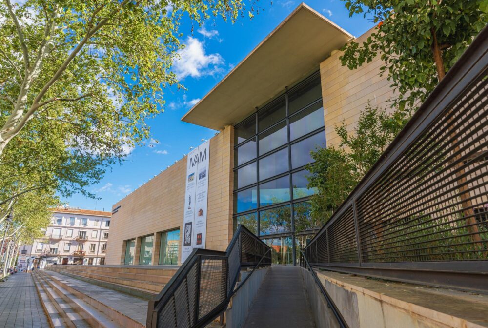 IVAM, Valence