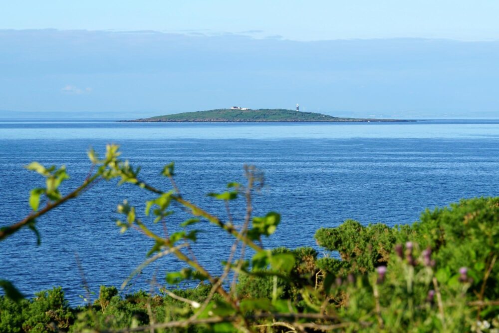 Îles Copeland, Irlande du Nord