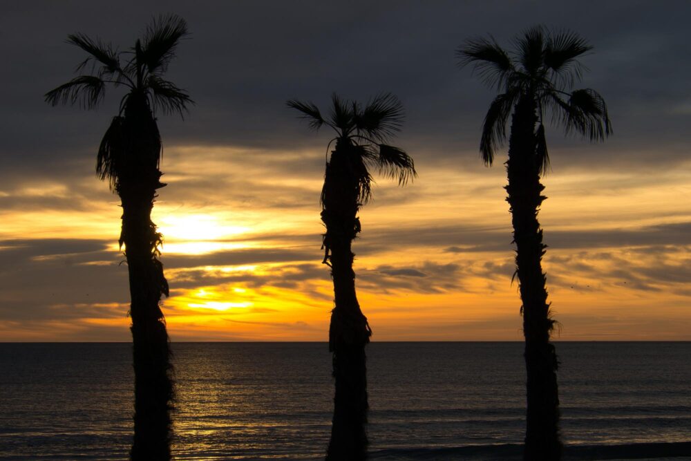La plage de San Juan (Alicante)