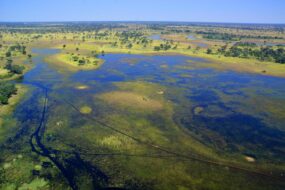 La réserve de Moremi, Bostwana