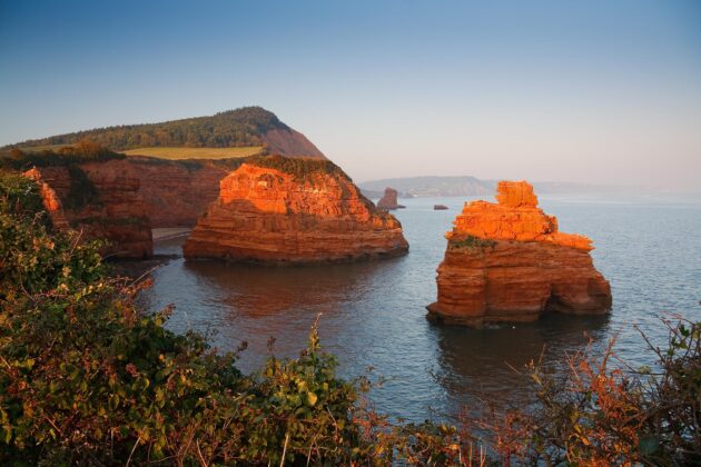 Ladram Bay