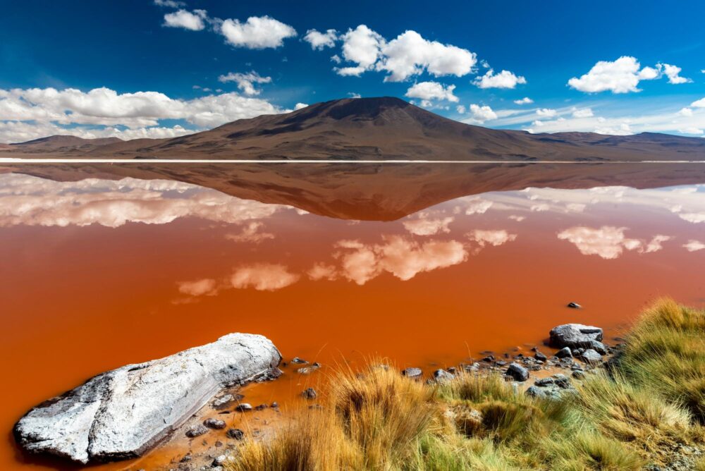 Laguna Colorada en Bolivie, Amérique du Sud