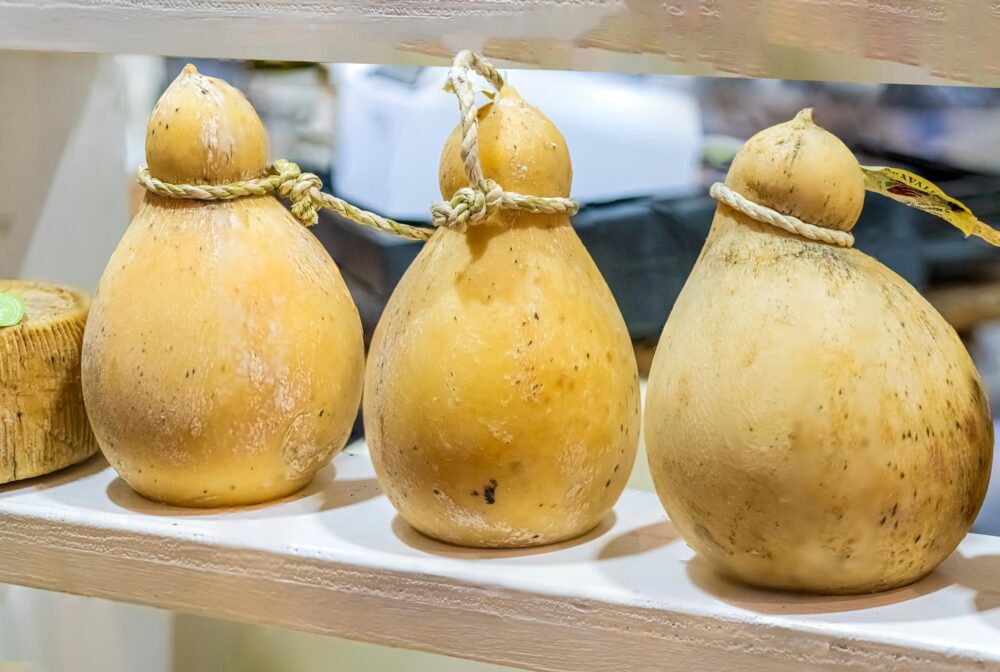 Le Caciocavallo podolico