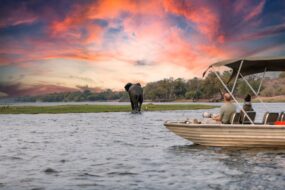 Le Delta de l'Okavango