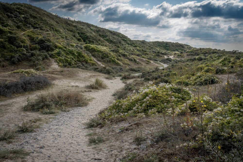 Le Hourdel, Baie de Somme