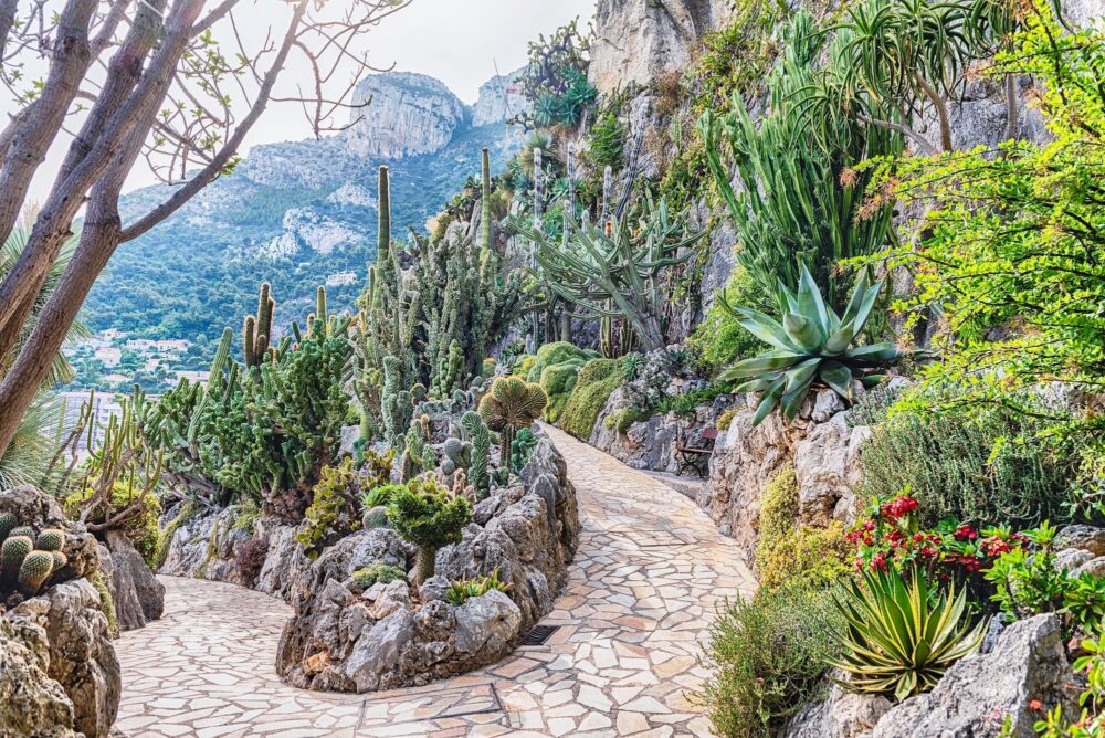 Le Jardin Exotique de Monaco