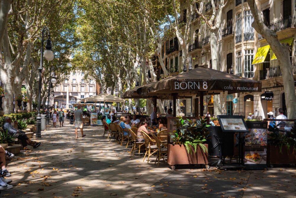 Le Paseo del Borne, Palma de Majorque
