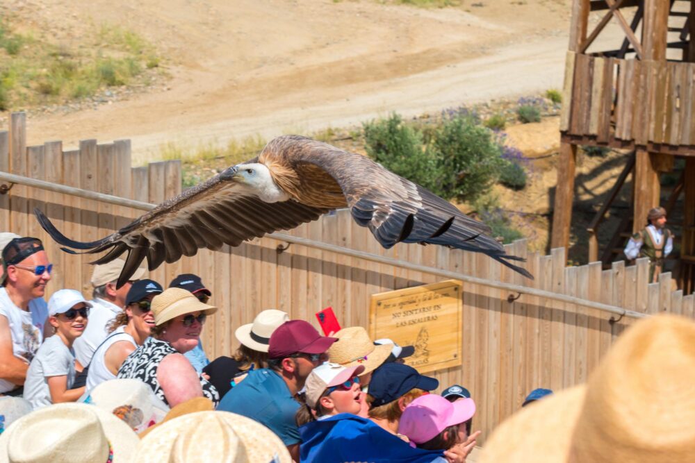 Le Puy du Fou Espagnol