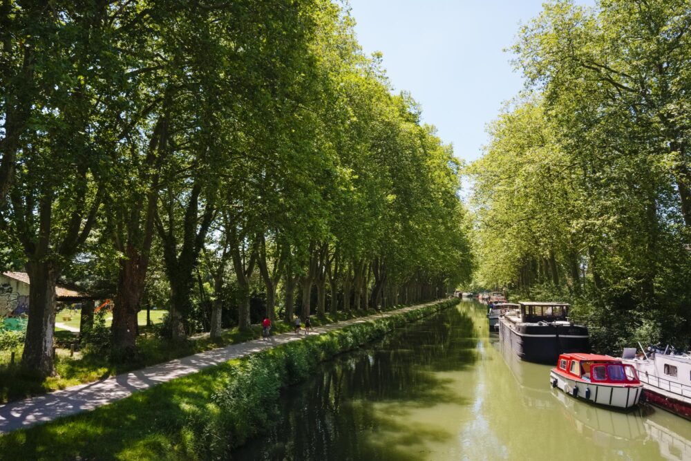 Le canal du Midi
