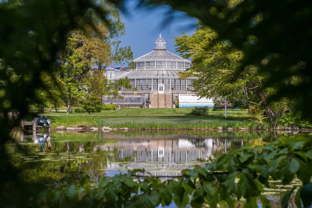 Le jardin botanique