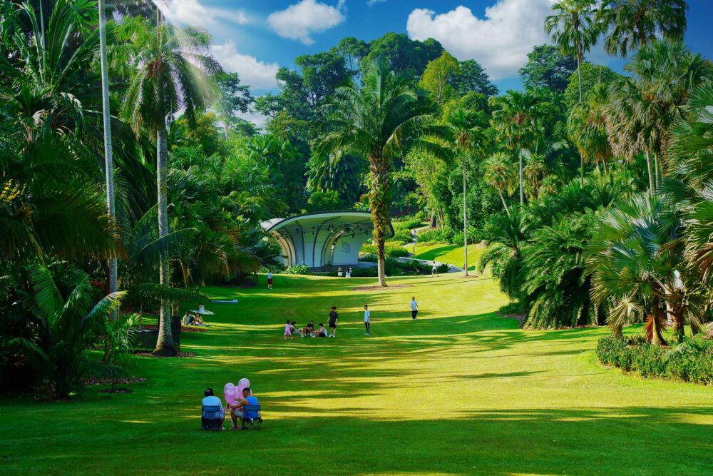 Le jardin botanique, Singapour