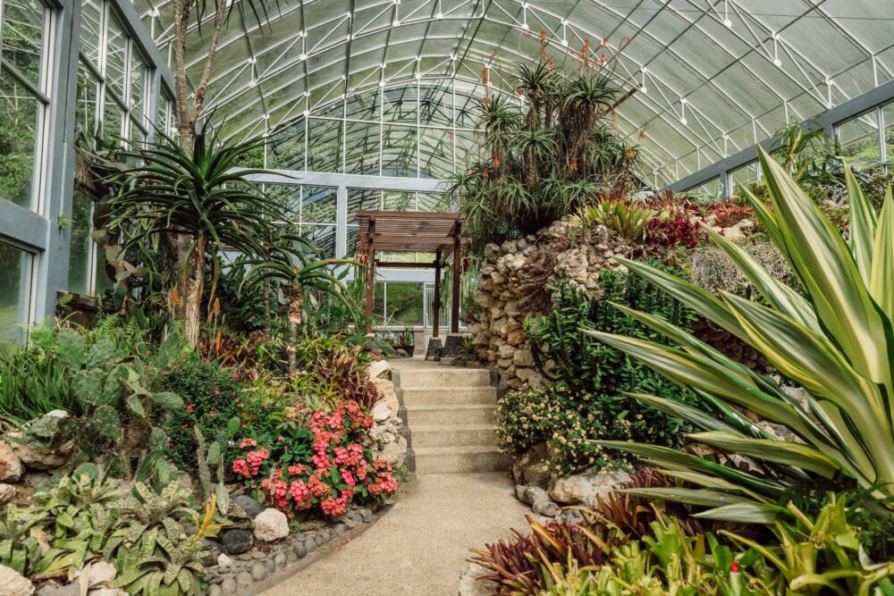 Le jardin botanique de Bali, Indonésie
