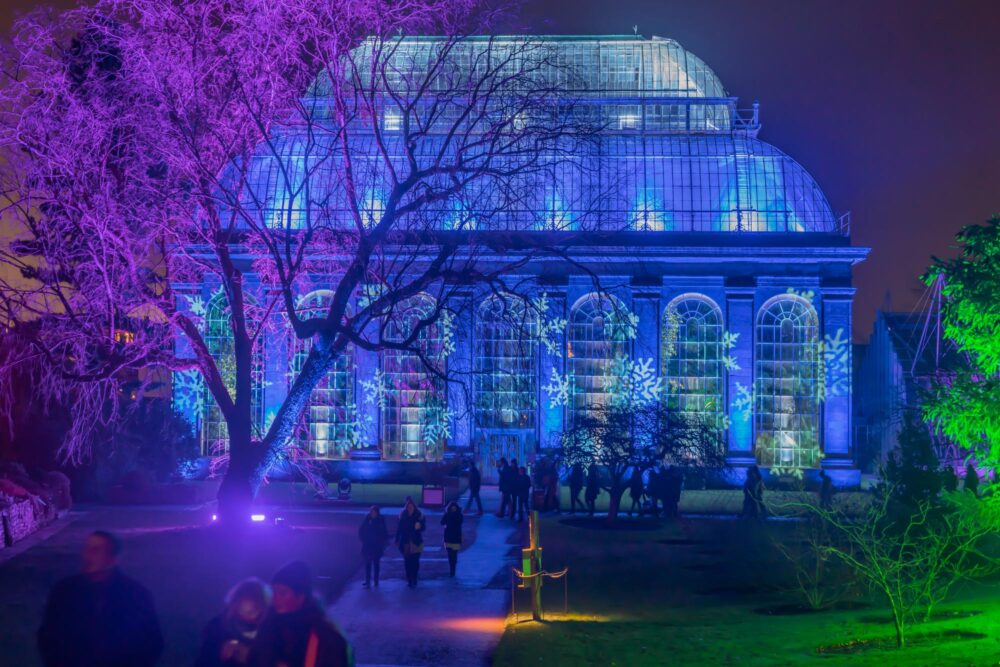 Le jardin botanique royal