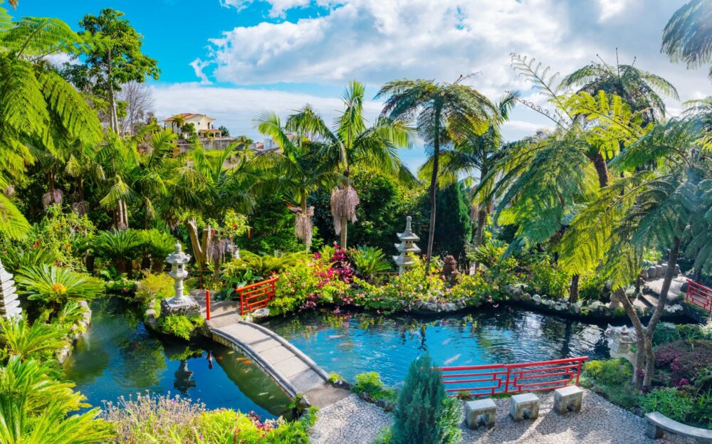 Le jardin du Monte Palace Madeira, Madère