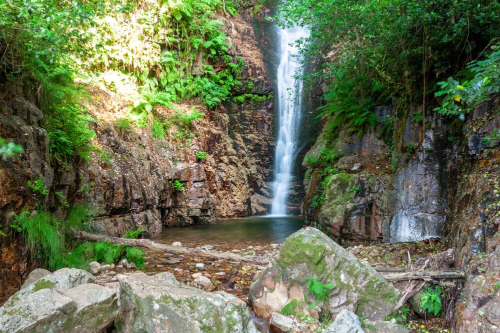 Le parc national de Cabañeros