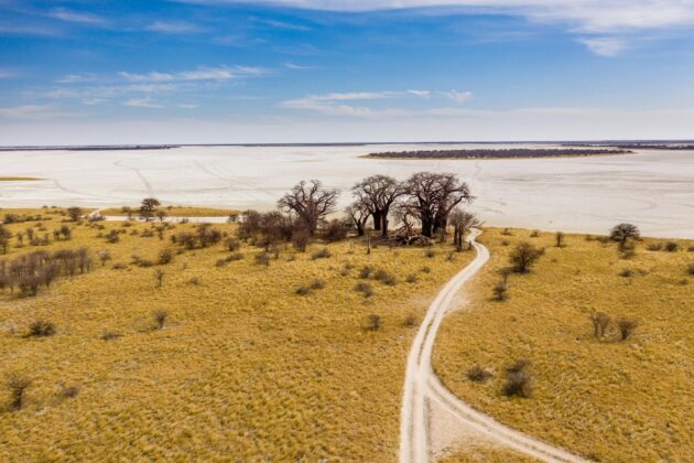 Le parc national de Nxai Pan, Botswana