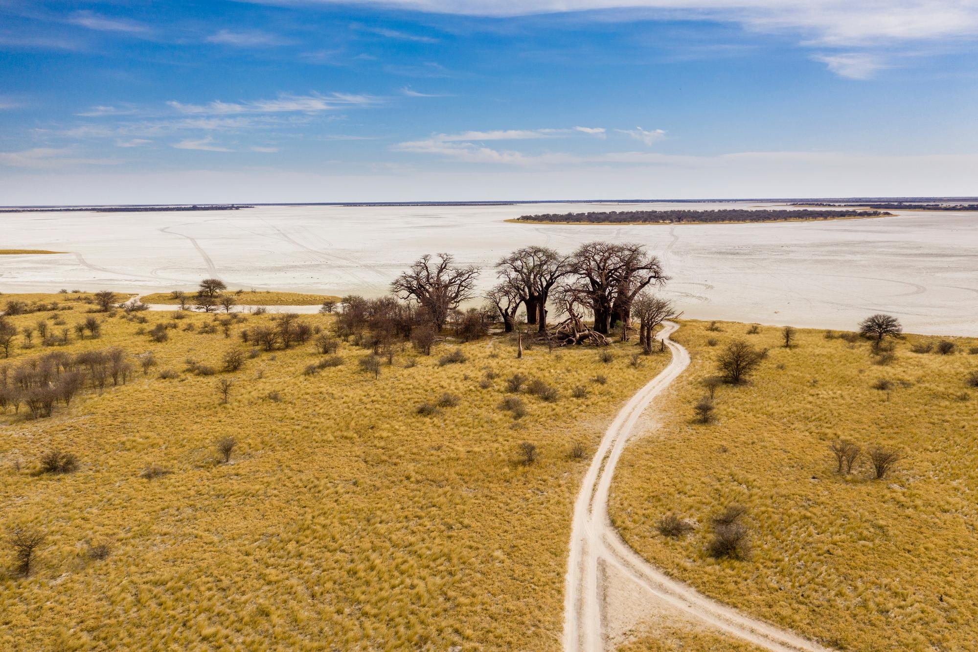 Le parc national de Nxai Pan, Botswana