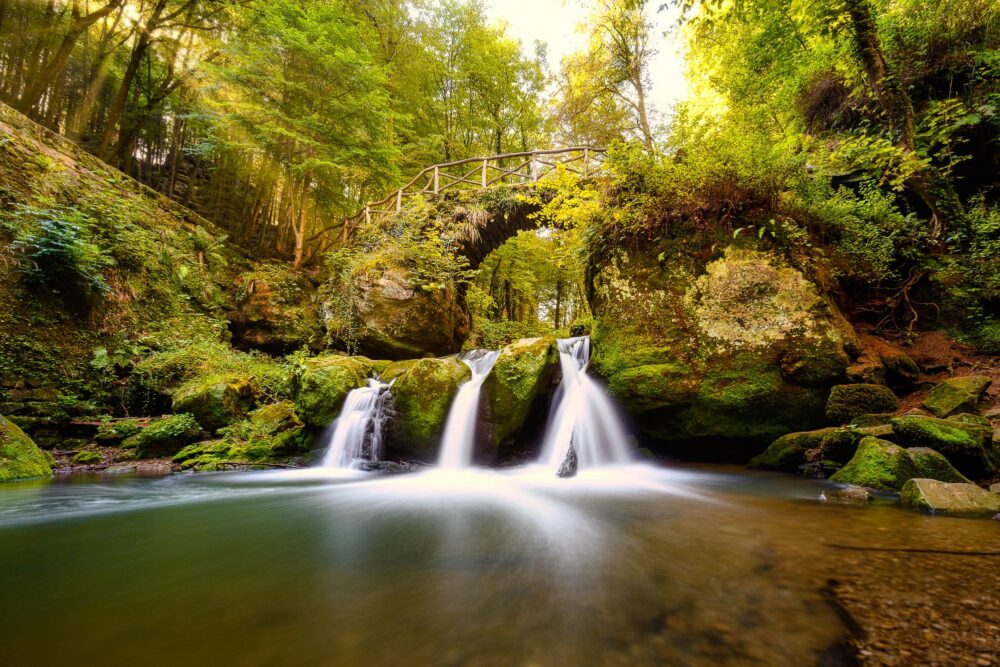 Le sentier du Mullerthal