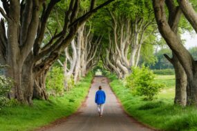 Les Dark Hedges, Belfast, Irlande du Nord
