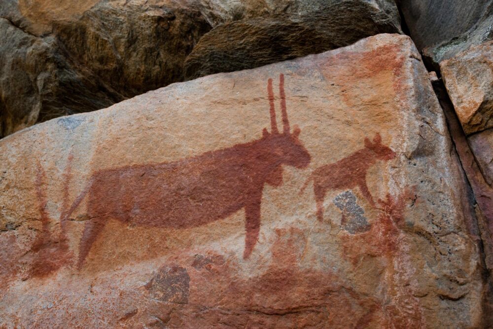 Les peintures rupestres de Tsodilo Hills, Bostwana
