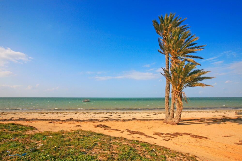 Les plages de Kerkennah, Tunisie