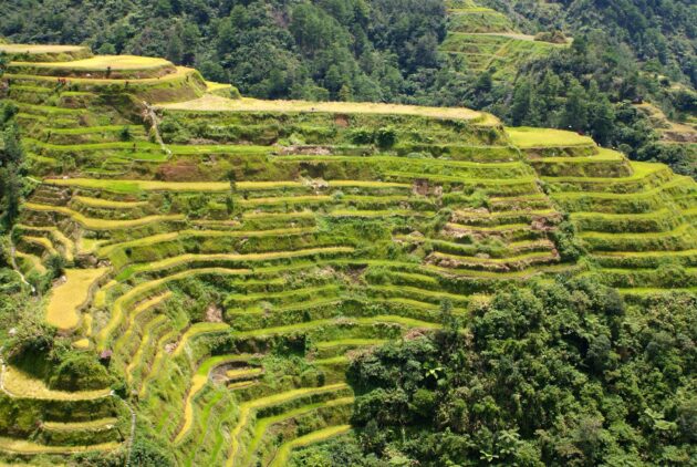 Les rizières en terrasses de Banaue, Philippines