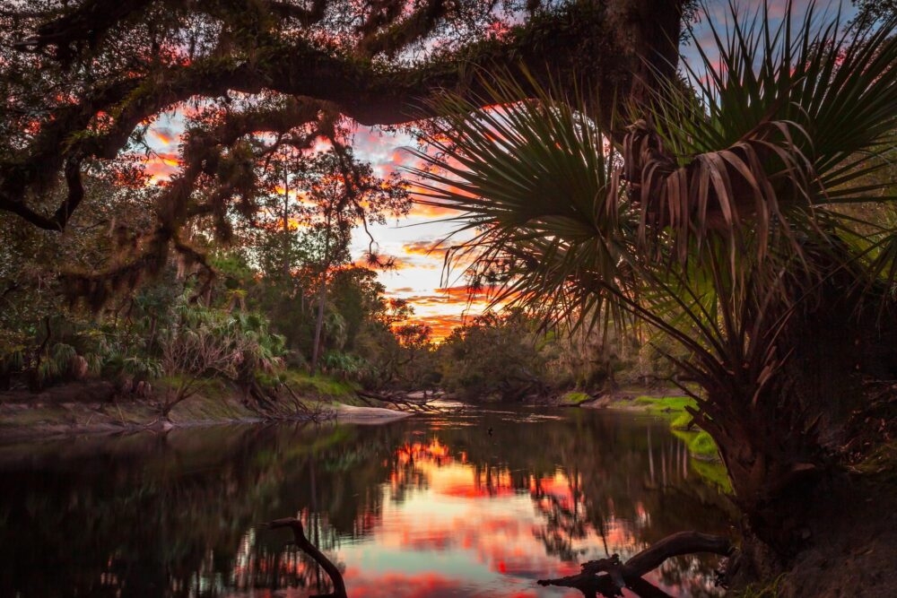 Little Big Econ State Forest aux couleurs du coucher du soleil