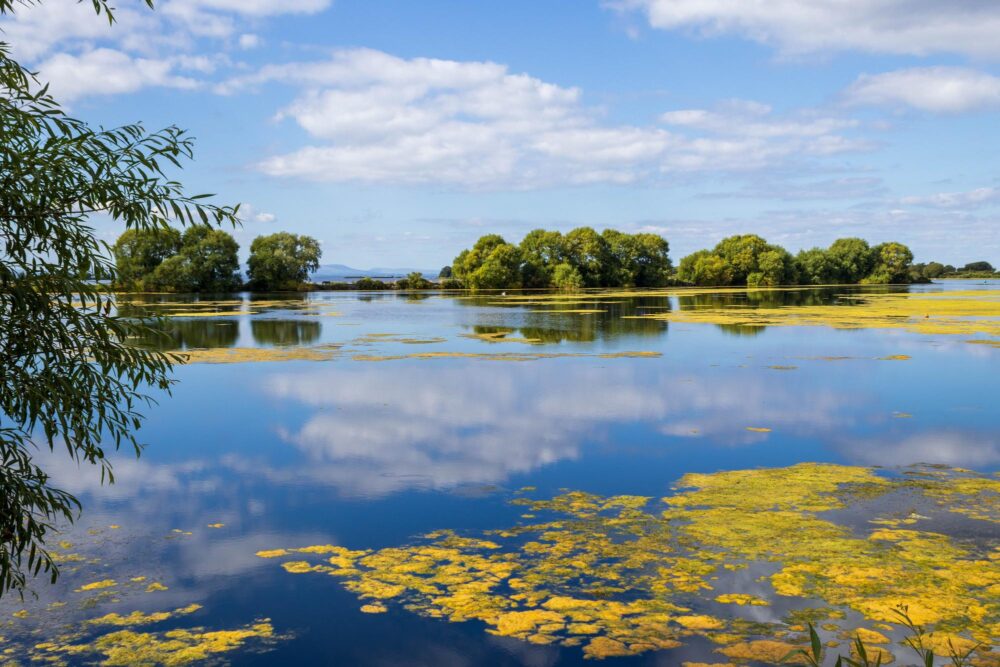 Lough Neagh, Irlande du Nord
