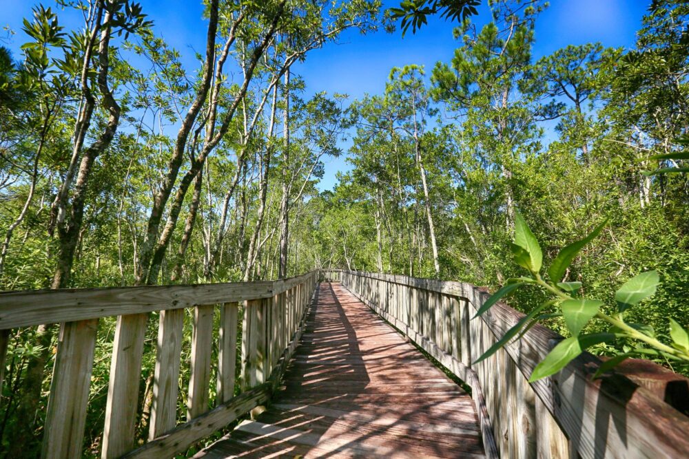 L'un des chemin en planches du Tibet-Butler Nature Preserve, près d'Orlando