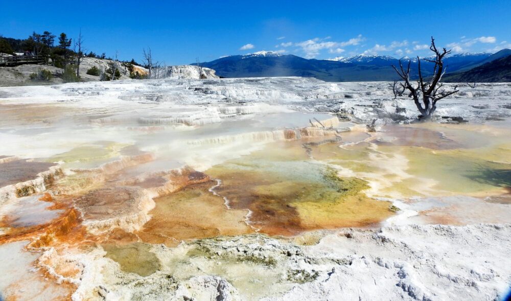 Mammoth Hot Springs au parc national de Yellowstone
