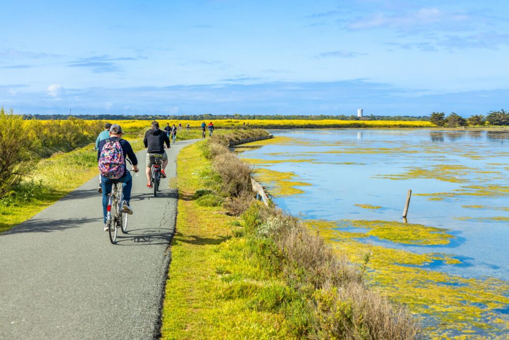 Marais salants à vélo Île de Ré