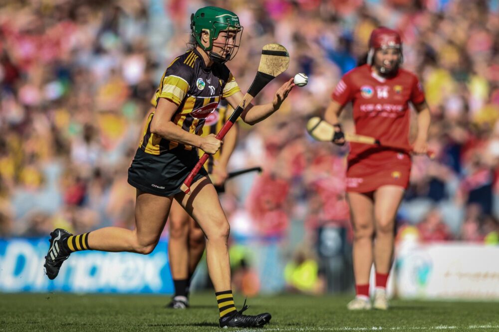 Match de hurling à Croke Park, Dublin