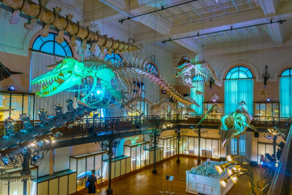 Musée Océanographique à Monaco