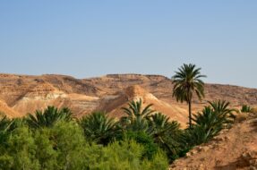 Oasis de Tamerza, Tunisie