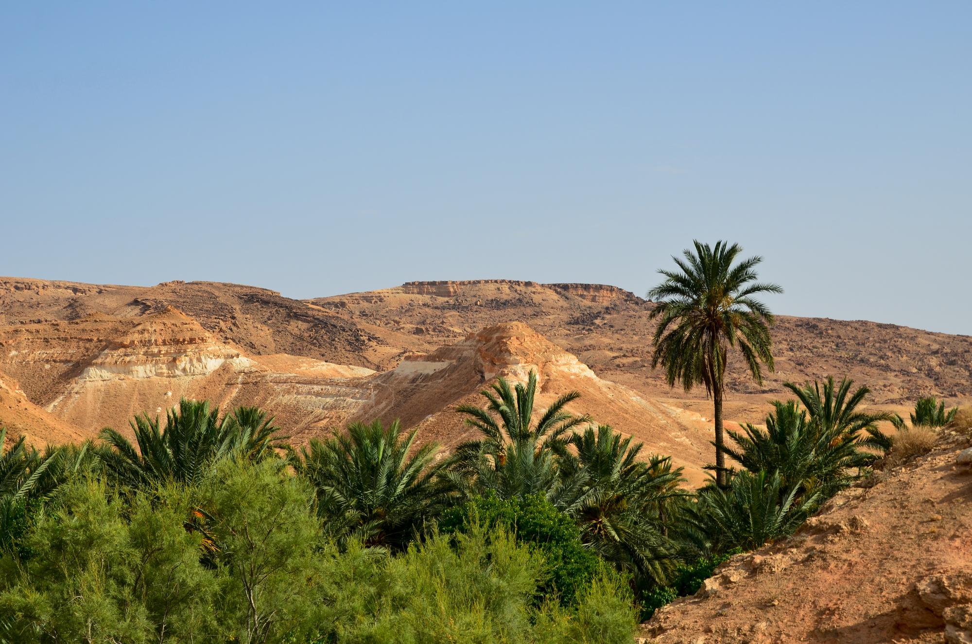 Oasis de Tamerza, Tunisie