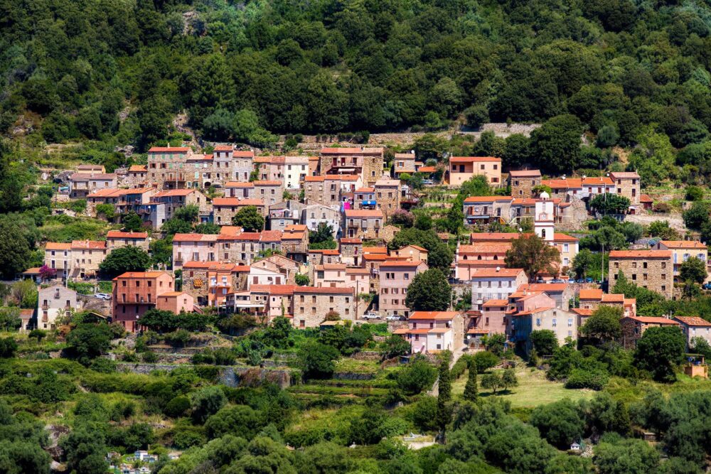 Ota en Corse