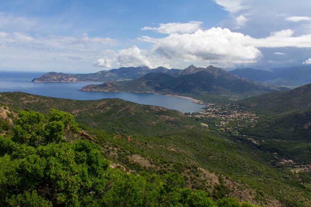 Panorama depuis le chemin de randonnée Mare e Monti Sud en Corse