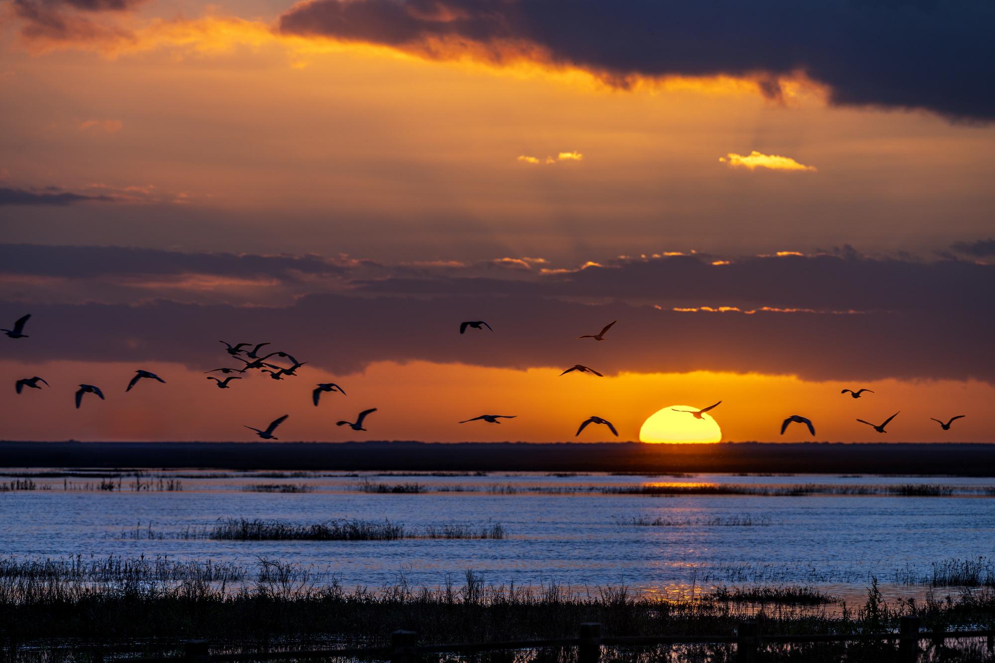 Parc National de Doñana
