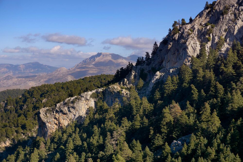 Parc naturel de la Sierra de las Nieves
