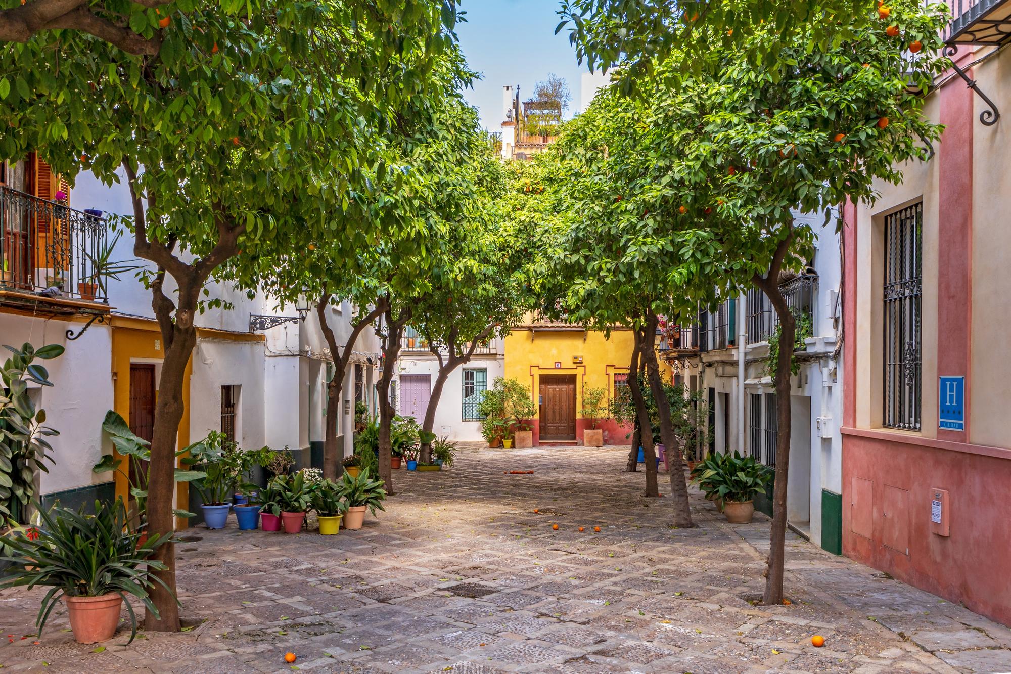 Place typique dans le Barrio Santa Cruz à Séville